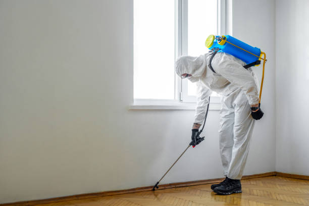 Real Estate Pest Inspections in Latta, SC